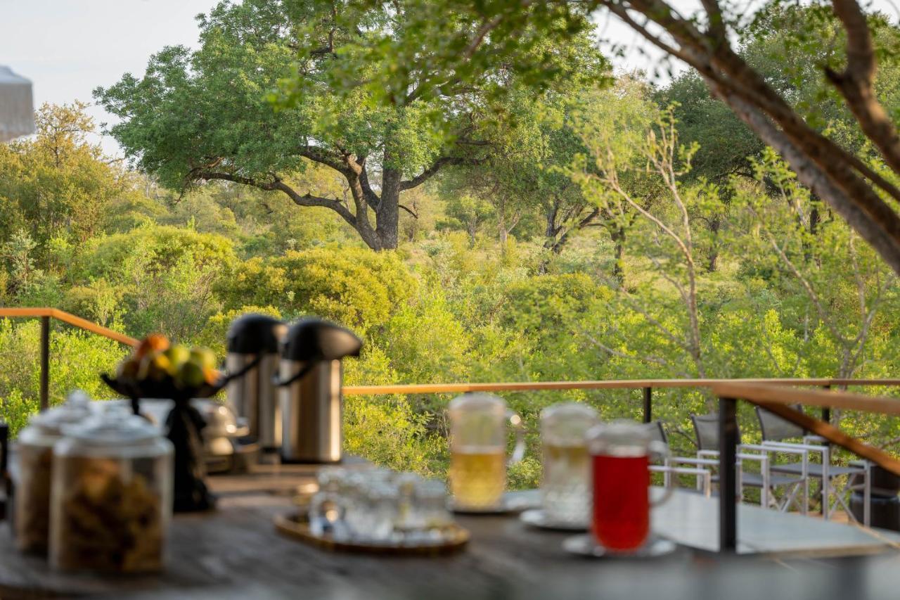 Thornybush Game Lodge Reserva de Caça Thornybush Exterior foto