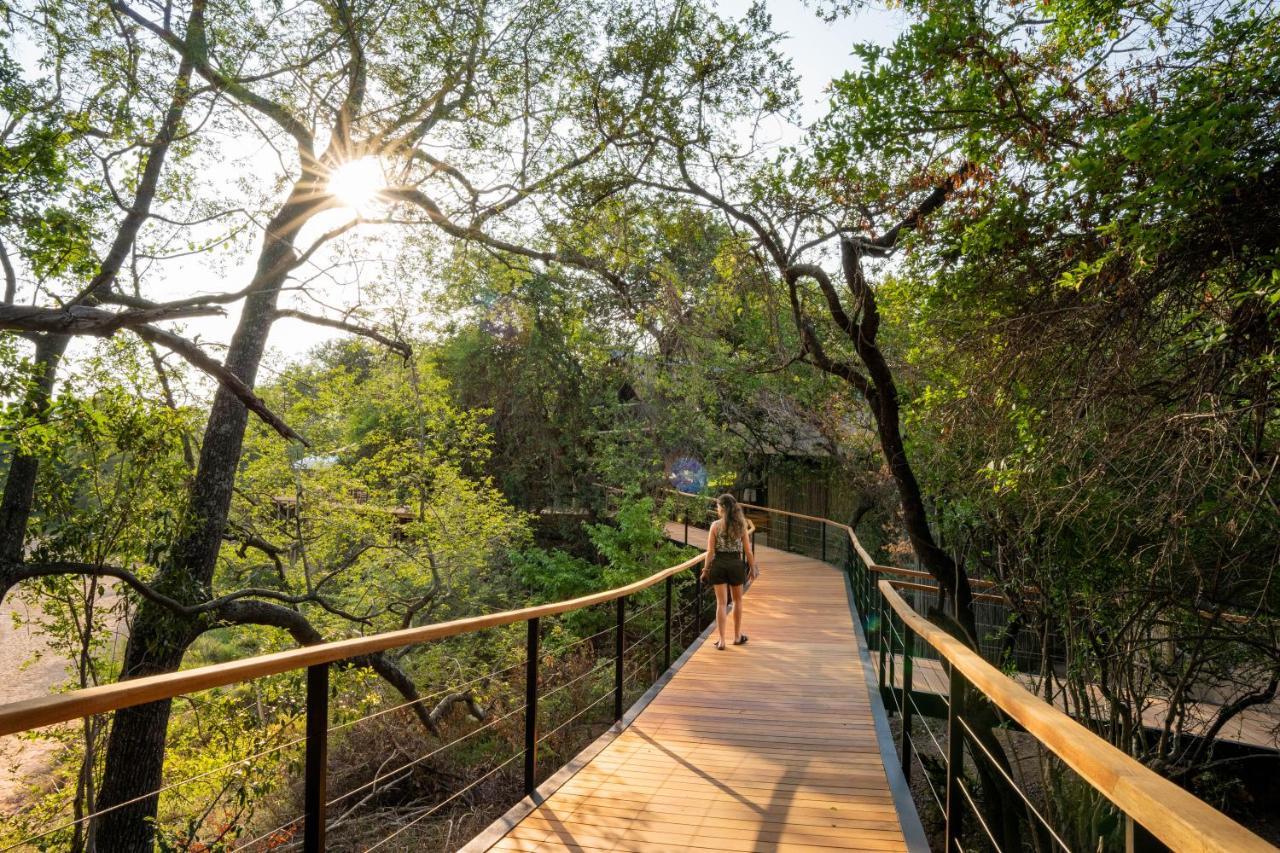 Thornybush Game Lodge Reserva de Caça Thornybush Exterior foto
